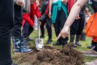 Children digging a hole to plant trees for Arbor Day 2024