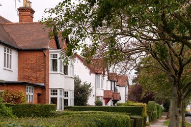 A row of Letchworth houses, with front gardens and trees