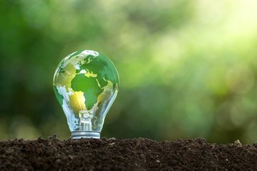 A green lightbulb planted in the ground to represent renewable electricity.