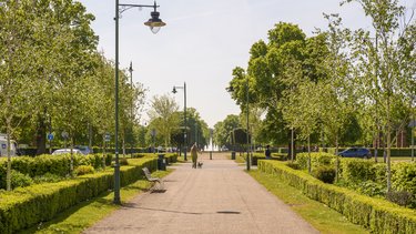 The green space of Broadway Gardens. A path and trees in the foreground, and a fountain in the background.