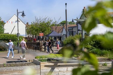 The Wynd in Letchworth, focusing on the community gardens, with a row of shops in the background.
