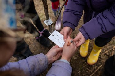 Children planting a tree for Arbor Day 2024