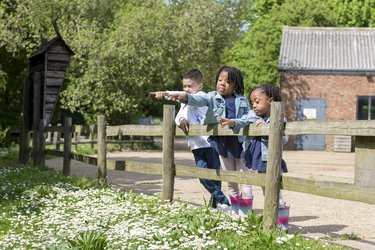 Children watching the ducks at Standalone Farm