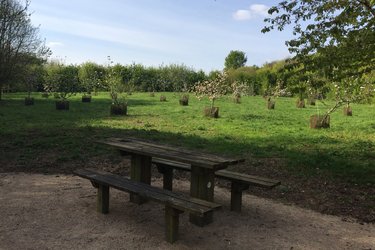A picnic bench