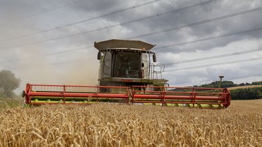 Combine harvester in a wheat field