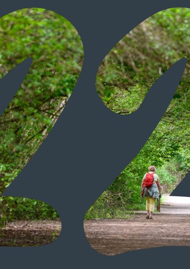 Document thumbnail image