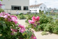 Wynd Community Gardens