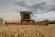 Combine harvester in a wheat field